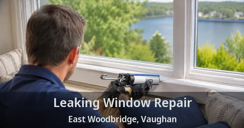 Leaking Window Repair East Woodbridge, Vaughan - ON